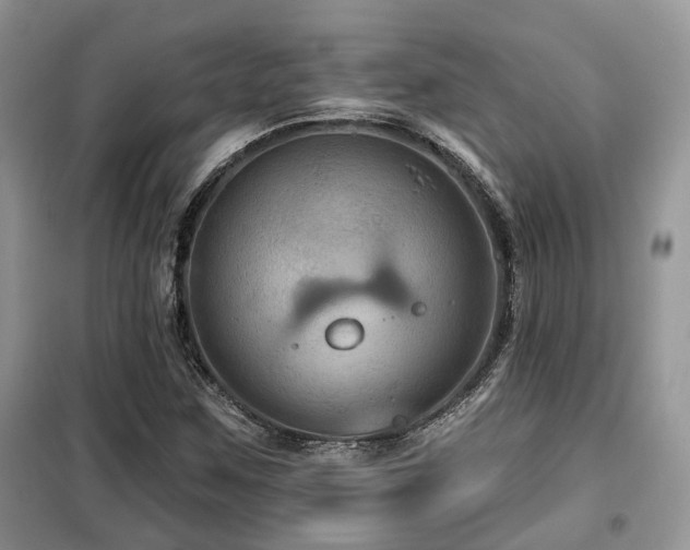 X0000099451259200805091458