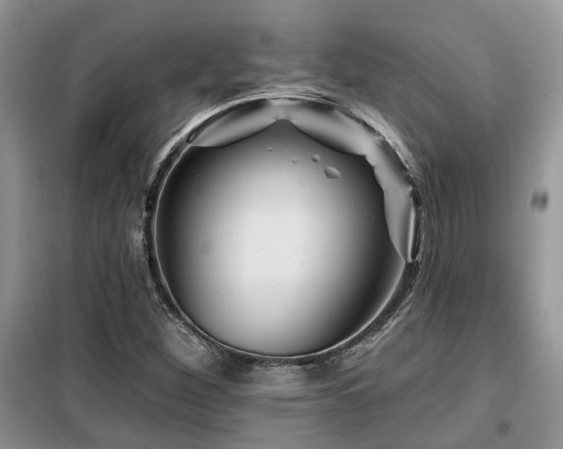 X0000099451260200805091458