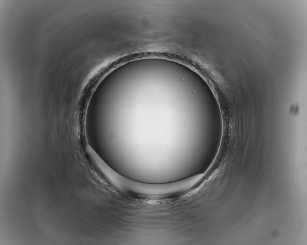 X0000099451262200805091458