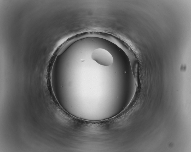 X0000099451264200805091458