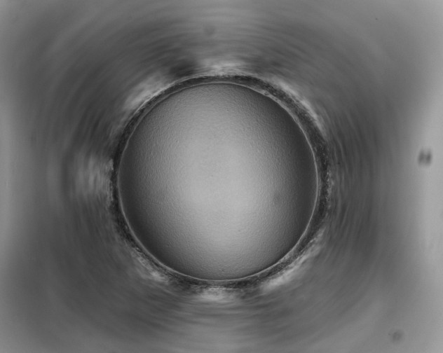 X0000099451265200805091458