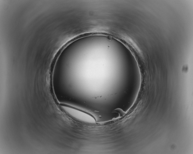 X0000099451268200805091458