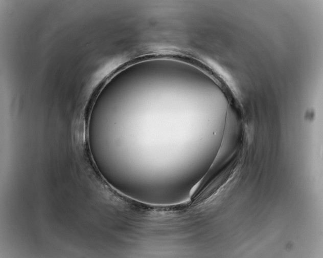 X0000099451269200805091458
