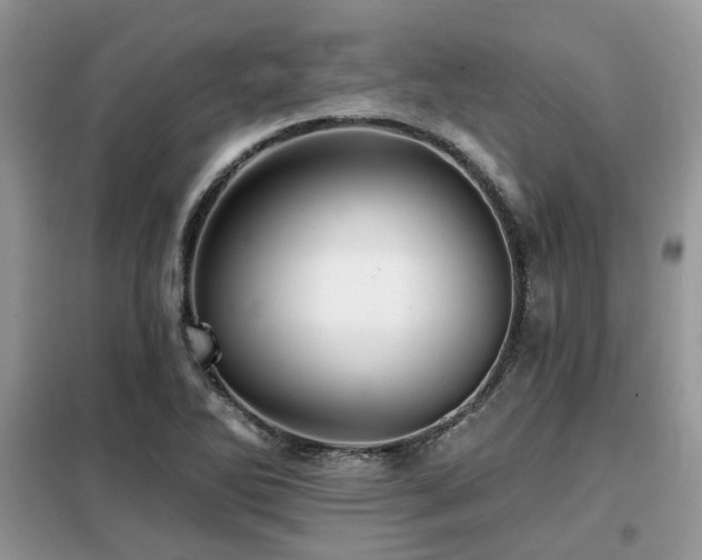 X0000099451270200805091458