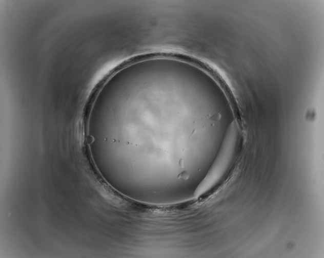 X0000099451271200805091458