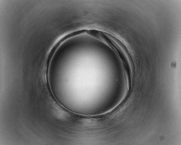 X0000099451272200805091458