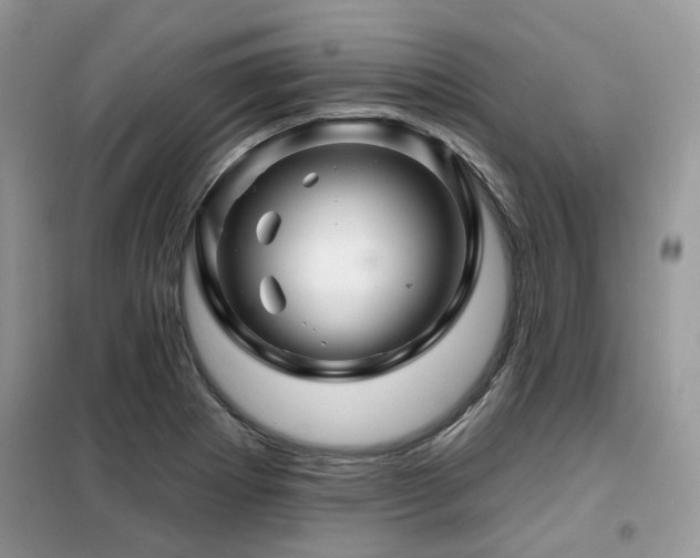 X0000099451273200805091458