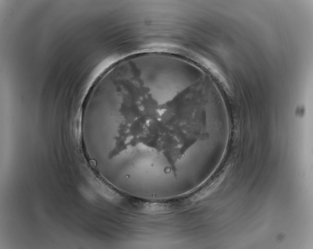 X0000099451275200805091458