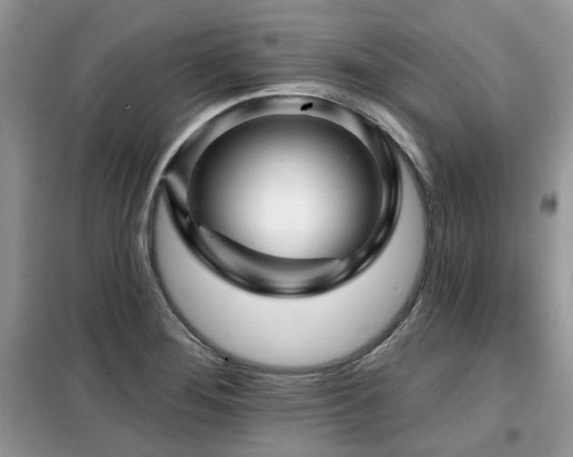 X0000099451276200805091458
