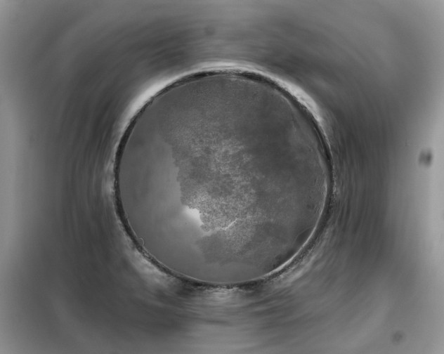 X0000099451279200805091458