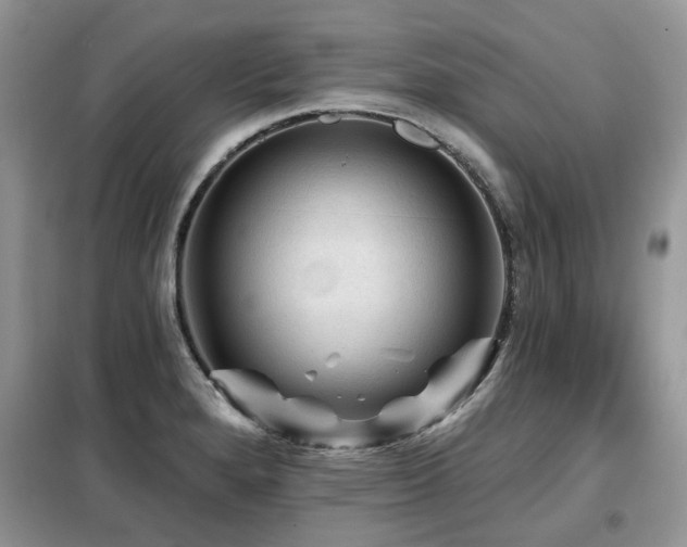 X0000099451280200805091458