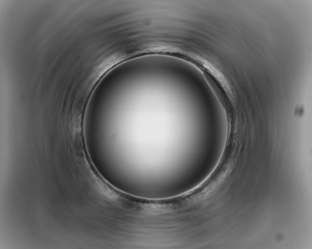 X0000099451281200805091458