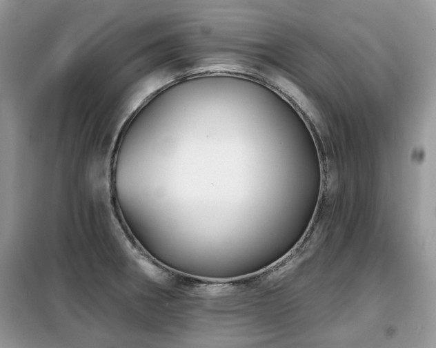 X0000099451282200805091458