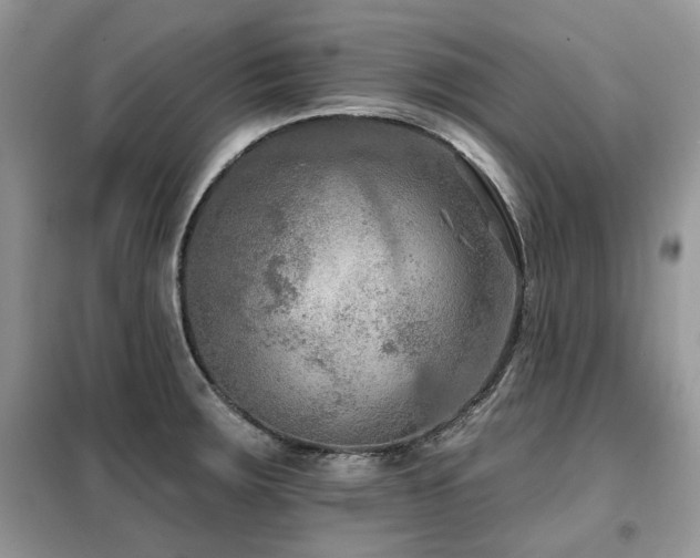 X0000099451283200805091458