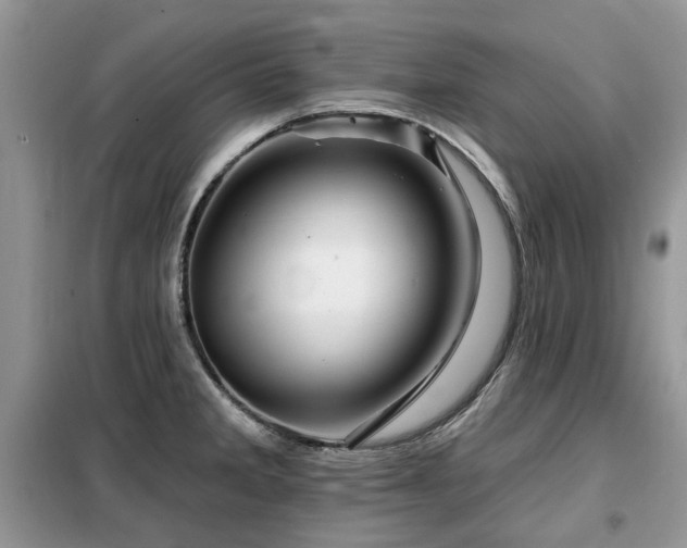 X0000099451285200805091458