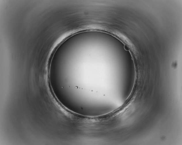 X0000099451286200805091458