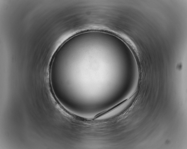 X0000099451287200805091458