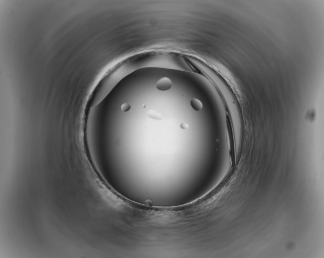 X0000099451288200805091458