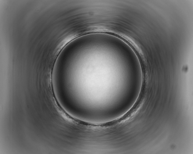 X0000099451289200805091458