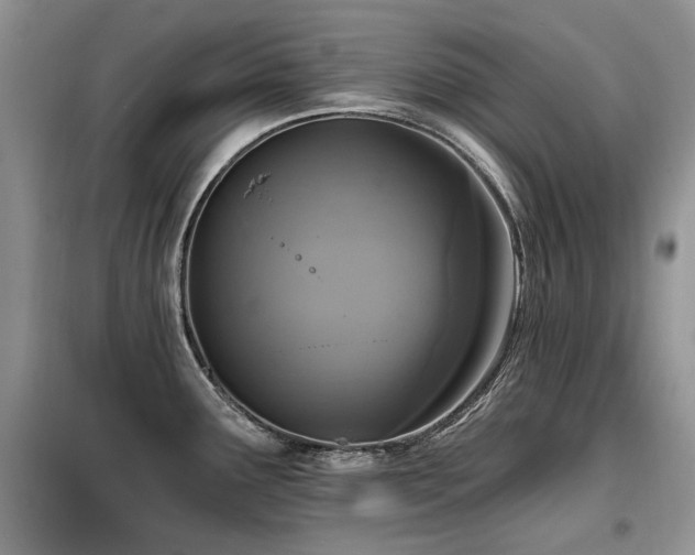 X0000099451291200805091458