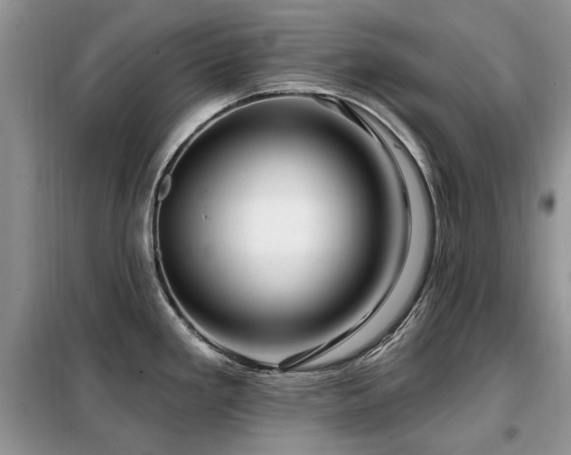 X0000099451293200805091458