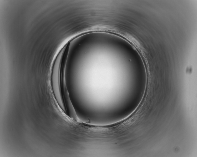 X0000099451296200805091458
