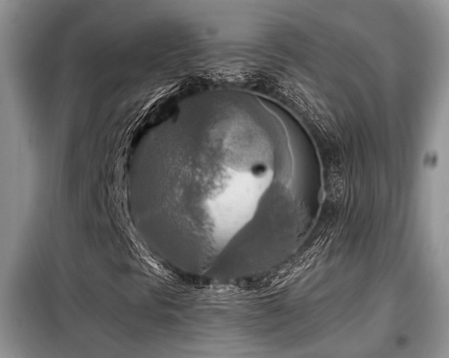 X0000099451297200805091457