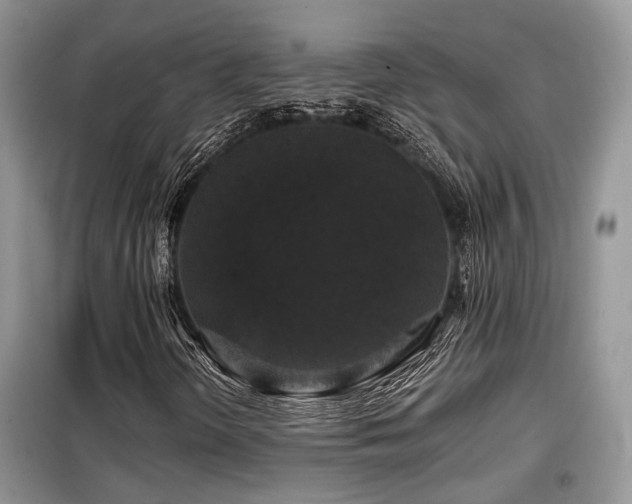 X0000099451298200805091457