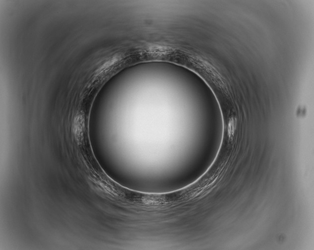 X0000099451299200805091457