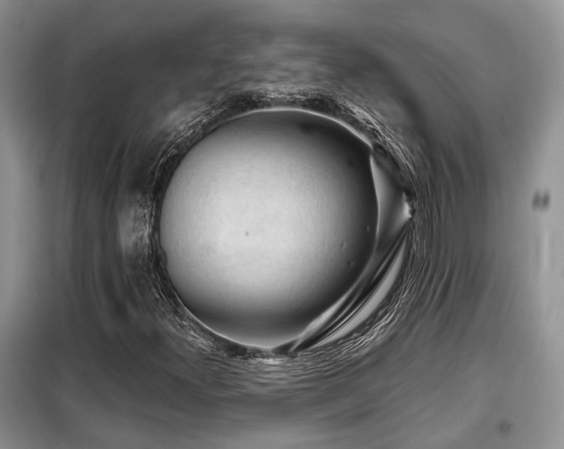 X0000099451300200805091457