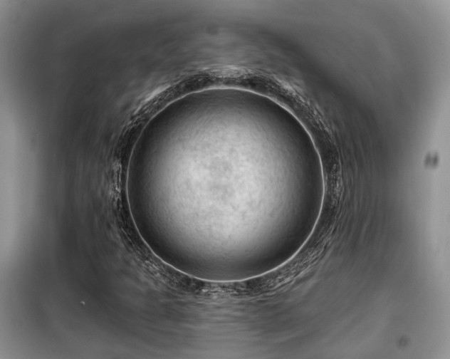 X0000099451301200805091457