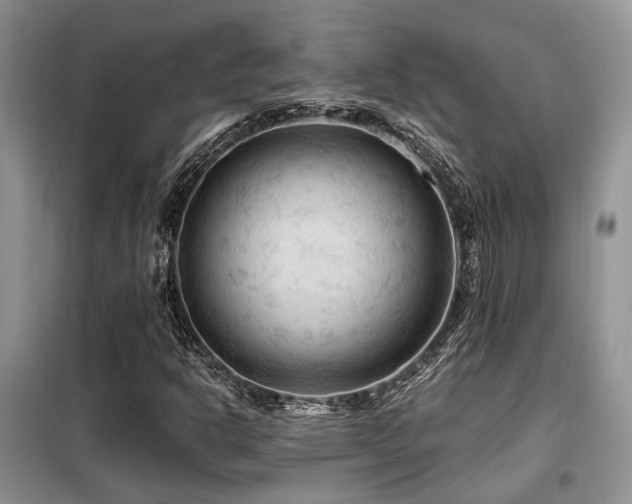X0000099451302200805091457