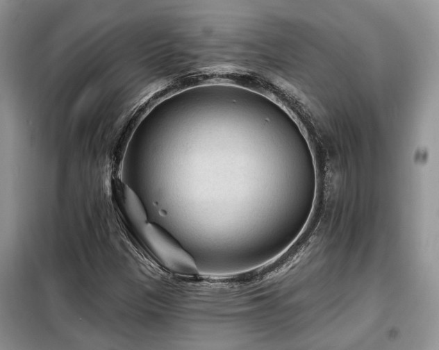 X0000099451305200805091457
