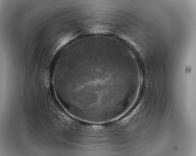 X0000099451306200805091457