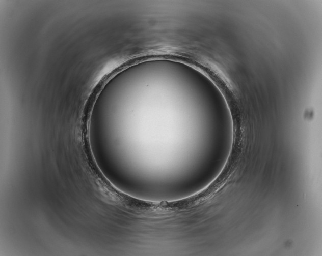 X0000099451308200805091457