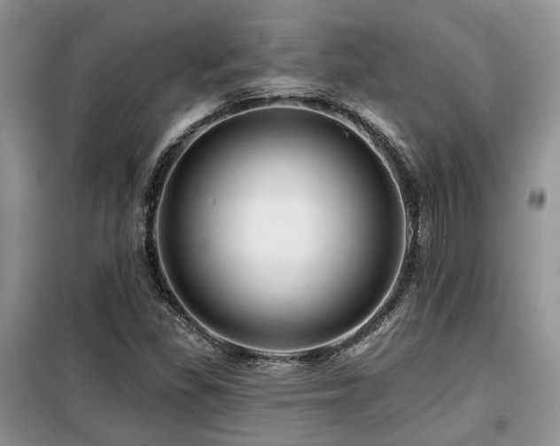 X0000099451309200805091457