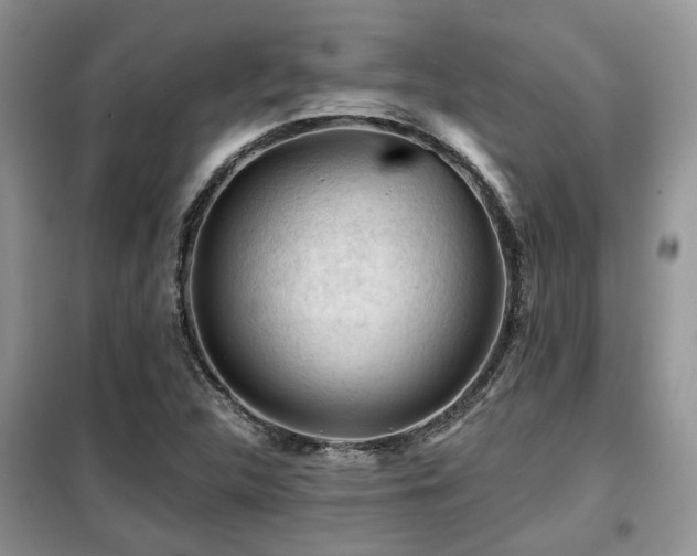X0000099451312200805091457