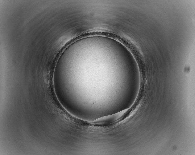 X0000099451313200805091457