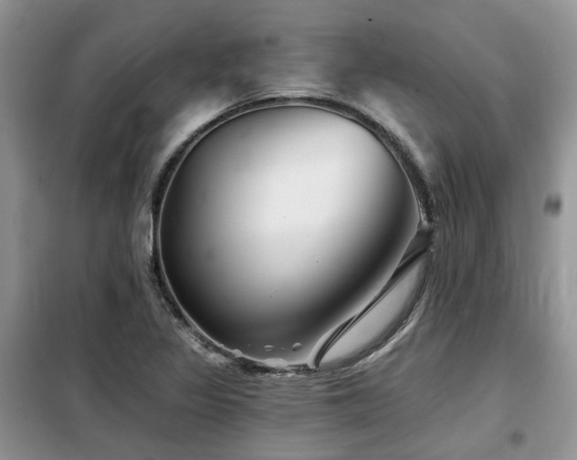 X0000099451317200805091457