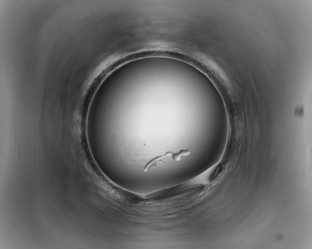X0000099451318200805091457