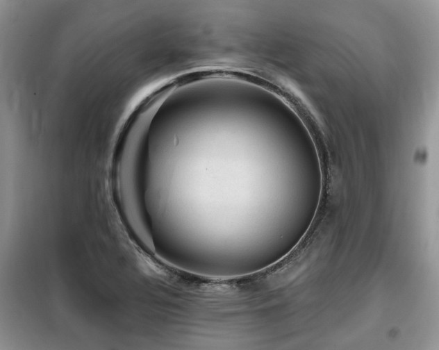 X0000099451320200805091457