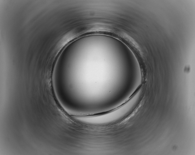 X0000099451321200805091457