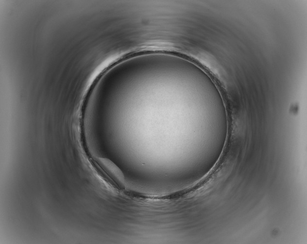 X0000099451325200805091457