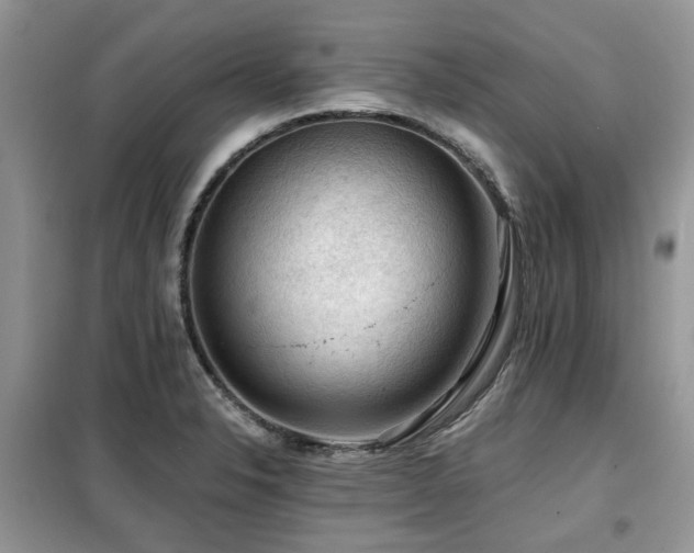 X0000099451326200805091457