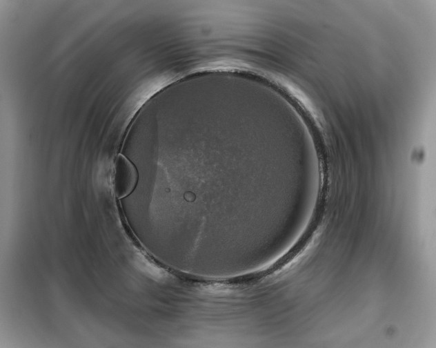 X0000099451329200805091457