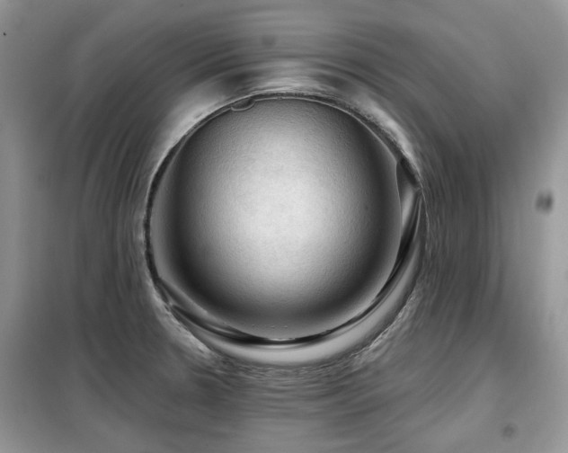 X0000099451330200805091457