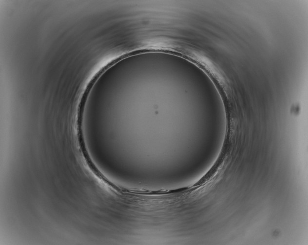 X0000099451331200805091457