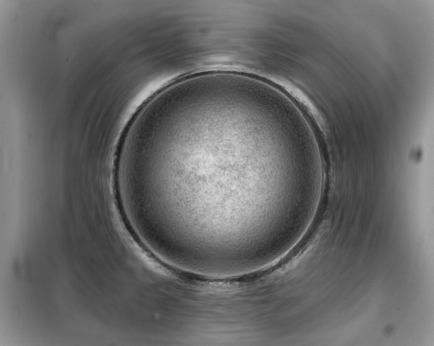 X0000099451333200805091457
