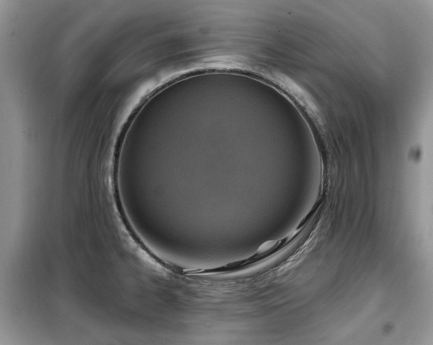 X0000099451334200805091457