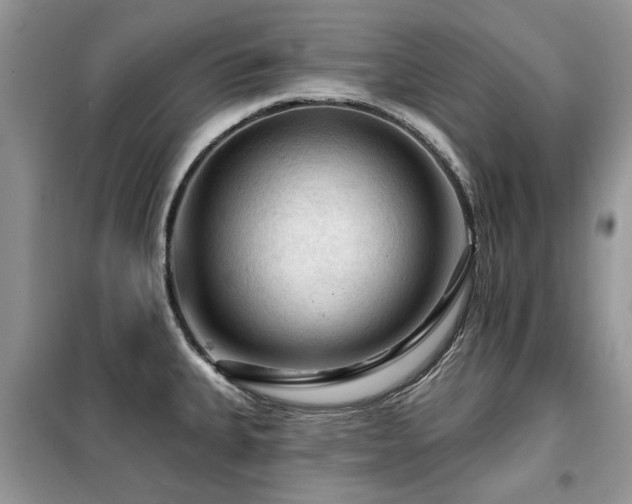X0000099451335200805091457